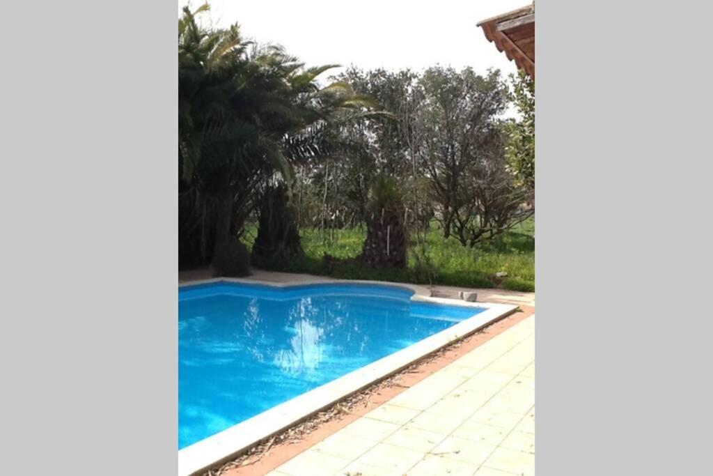 Big Relax Apartment With Swimming Pool And A Peaceful Garden In A Private Villa Сесту Экстерьер фото