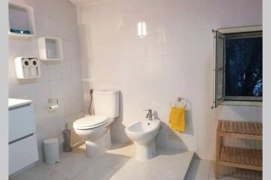 Big Relax Apartment With Swimming Pool And A Peaceful Garden In A Private Villa Сесту Экстерьер фото