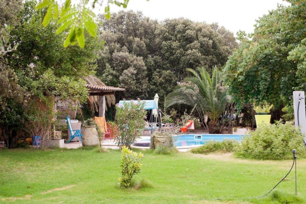 Big Relax Apartment With Swimming Pool And A Peaceful Garden In A Private Villa Сесту Экстерьер фото