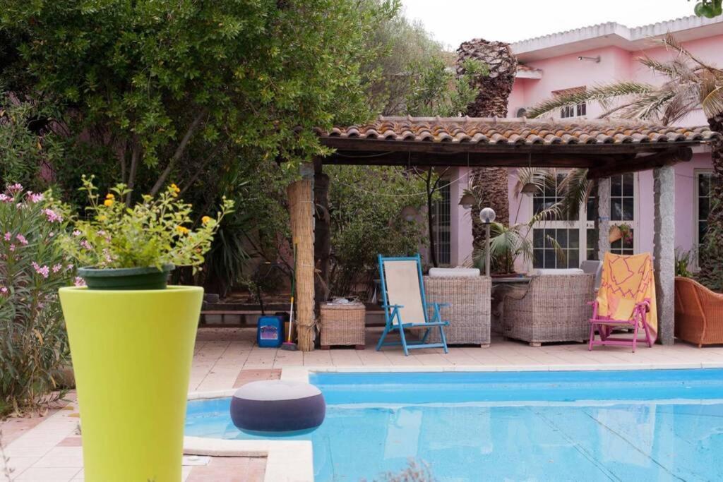 Big Relax Apartment With Swimming Pool And A Peaceful Garden In A Private Villa Сесту Экстерьер фото