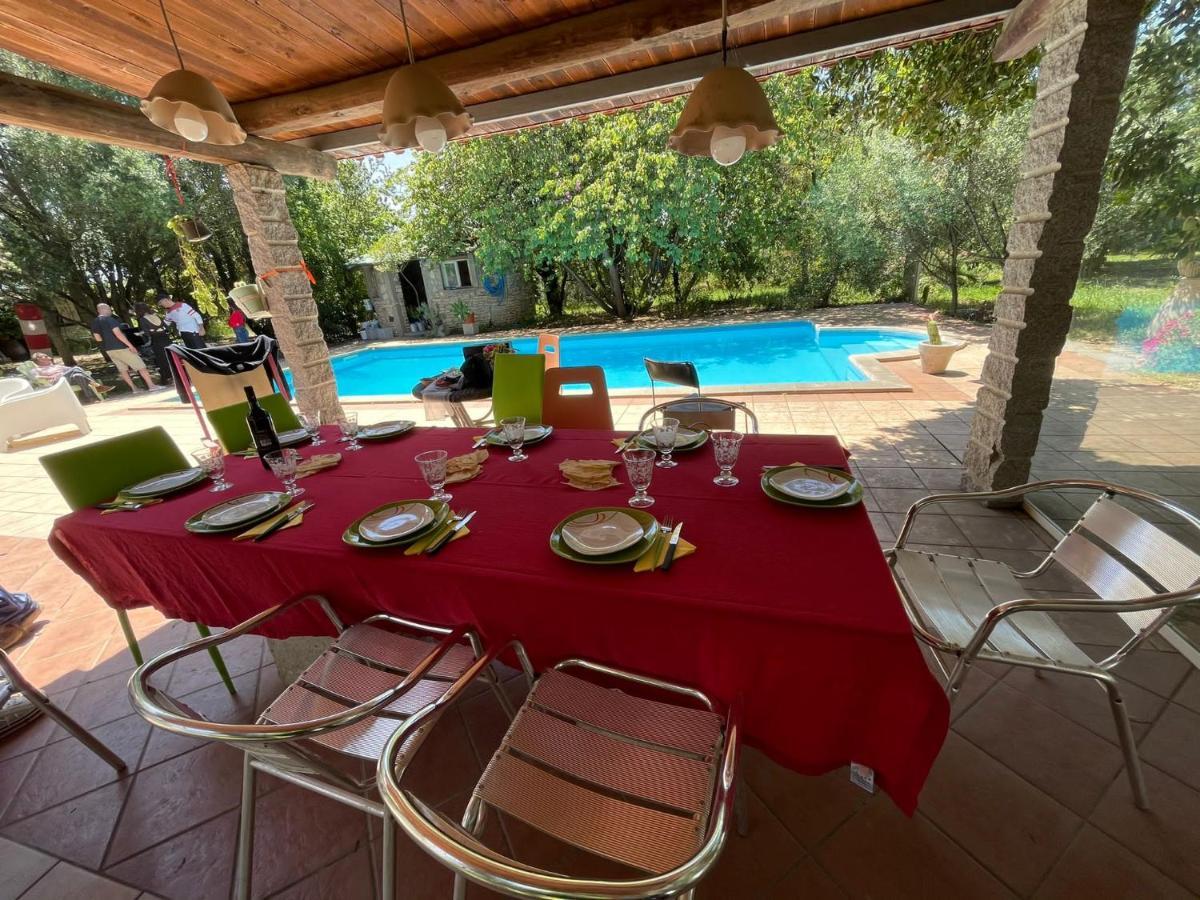 Big Relax Apartment With Swimming Pool And A Peaceful Garden In A Private Villa Сесту Экстерьер фото