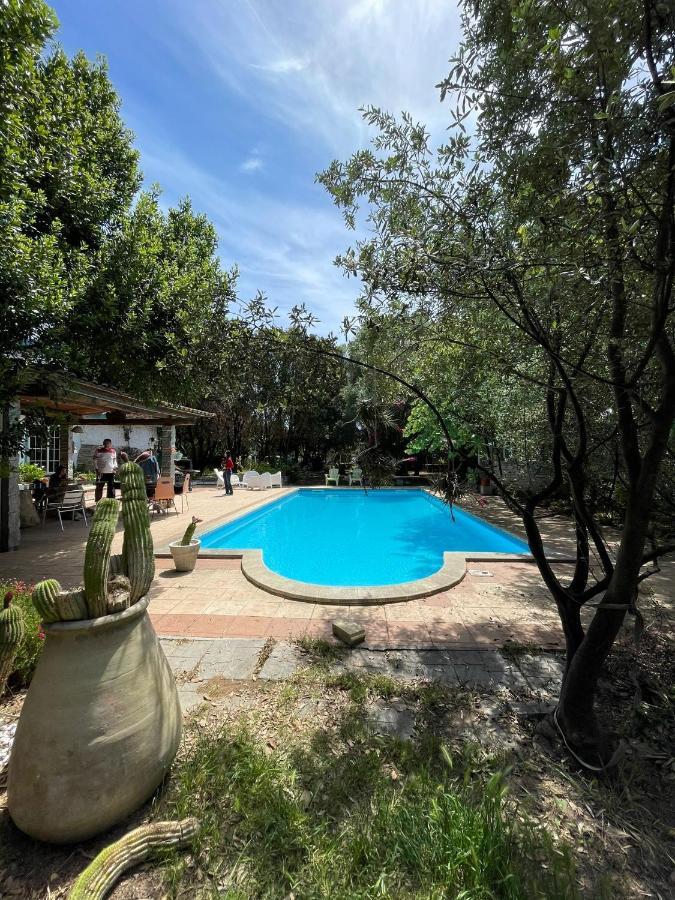 Big Relax Apartment With Swimming Pool And A Peaceful Garden In A Private Villa Сесту Экстерьер фото