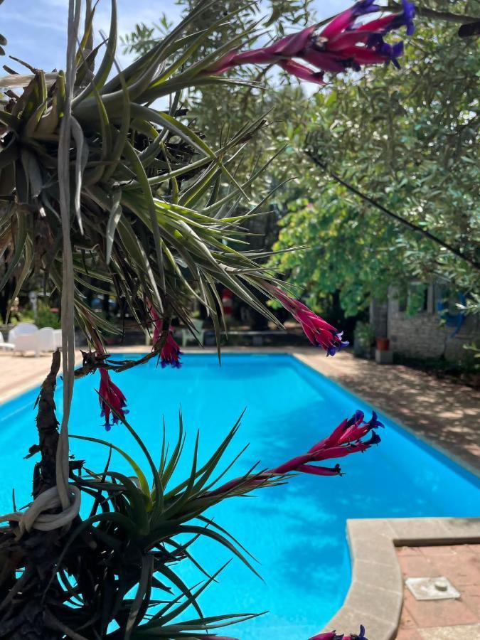 Big Relax Apartment With Swimming Pool And A Peaceful Garden In A Private Villa Сесту Экстерьер фото